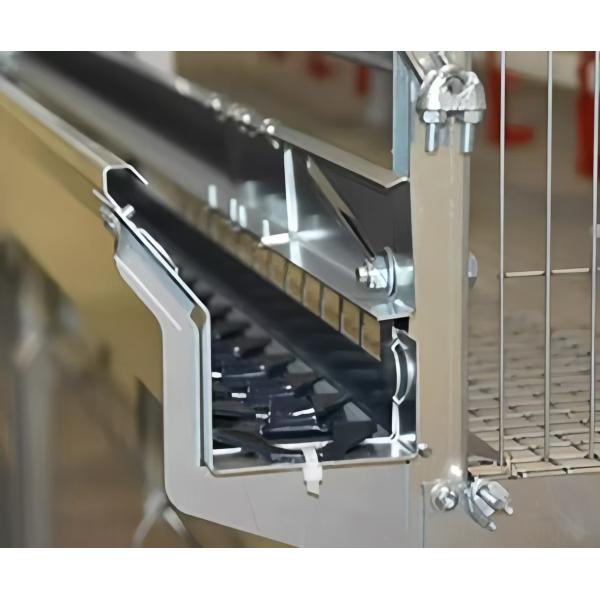 Steel Chicken House Equipment Easy Install With Automatic Feeding System