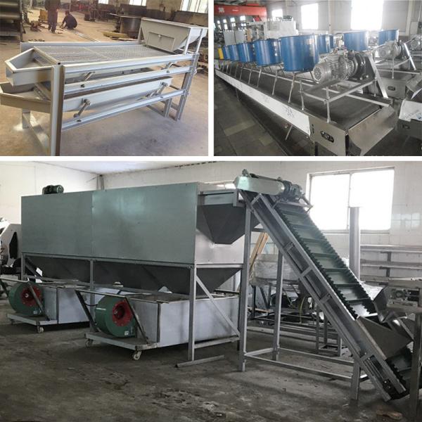 100kg Capacity Cashew Processing Machine Semi Automatic For Factory Use