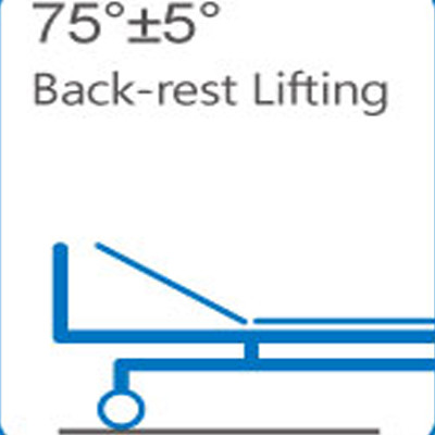 2150MM 250KGS Five Functions Electric Hospital Bed For Patients ICU Use