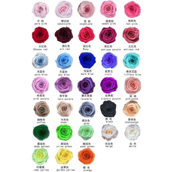 Customized Square Gift Boxes Preserved Roses In Box With Acrylic Cover