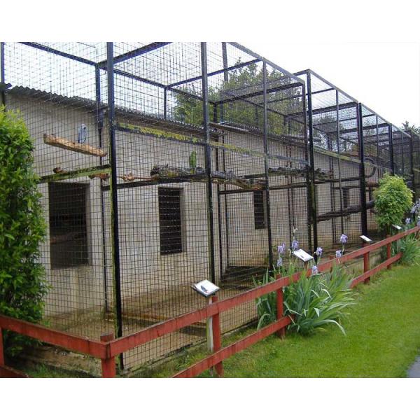 Galvanized bird aviary cage