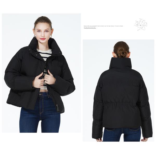 Short 58cm-64cm Womens Padded Coat Blue Light Green Black