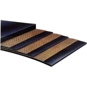 Quality Polyester EP Conveyor Belt General Temperature Conveyor Belting for sale