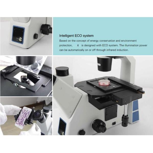 ECO Cell Tissue Fluorescent Inverted Microscope With Infinity Plan Achromatic Objectives