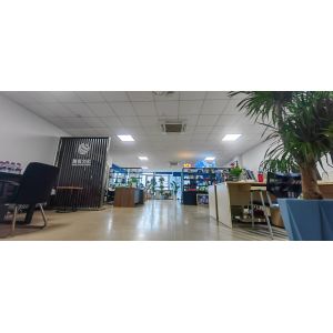 Zigong Yashi Culture And Art Co., Ltd.