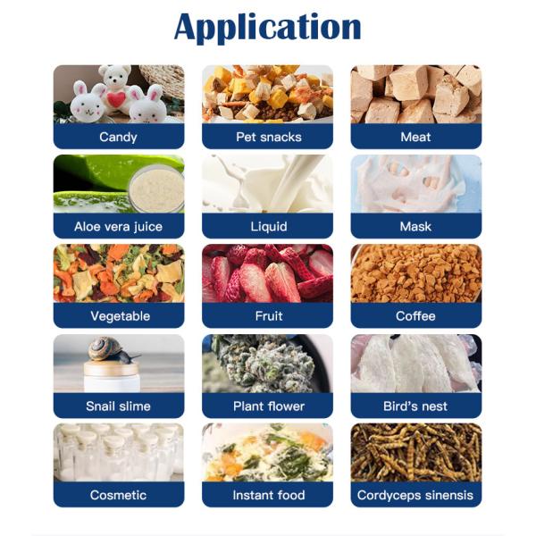 60-70 Kg / Batch Food Vacuum Commercial Freeze Drying Machine Freeze Dryer Lyophilizer