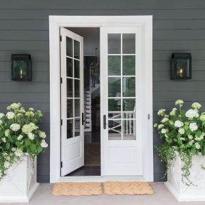 Garden Villa Hinged Aluminum Screen Doors Electrophoresis