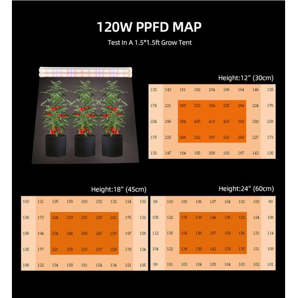 Dimmable Full Spectrum LED Grow Lights For Vegetable Seedlings