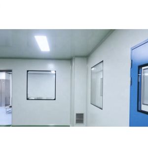 SS Modular Pharmaceutical Clean Room Door Powder Coating