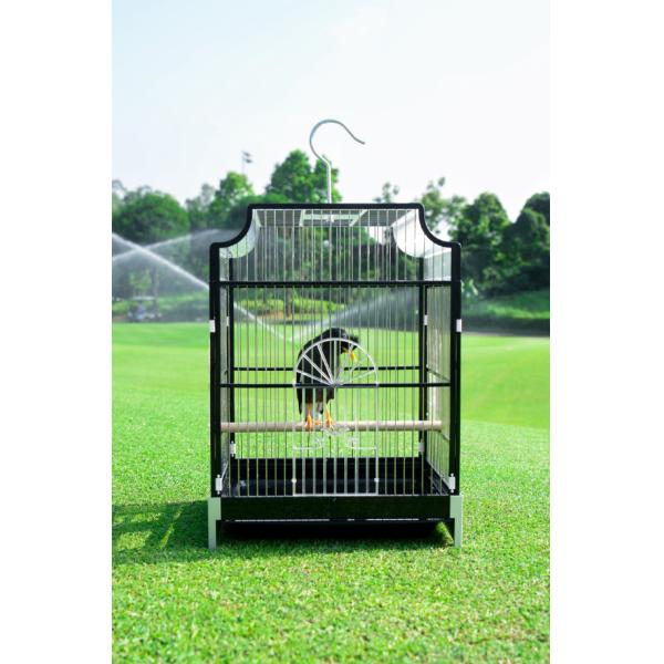 Patent Multifunctional Bird Green Foldable Durable Portable Pet Cages