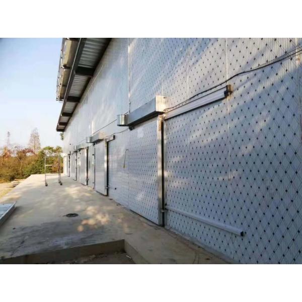 Customized Insulation Cam Lock Polyurethane Cold Room Sandwich Panels