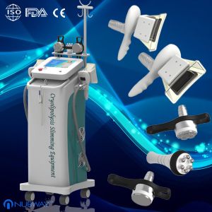 Quality Newest Cryolipolysis Machine/Newest Cryolipolysis Slimming Machine for sale