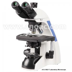 Quality infinity Plan Achromatice Compound Optical Microscope 3W LED A12.1502 Backward Quadruple Nosepiece for sale