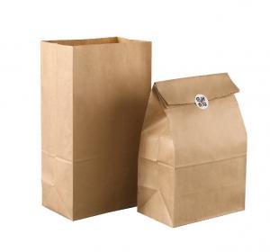 Quality 100% Recyclable Pure Paper Mailer Bag With Gusset On Sides And Bottom for sale
