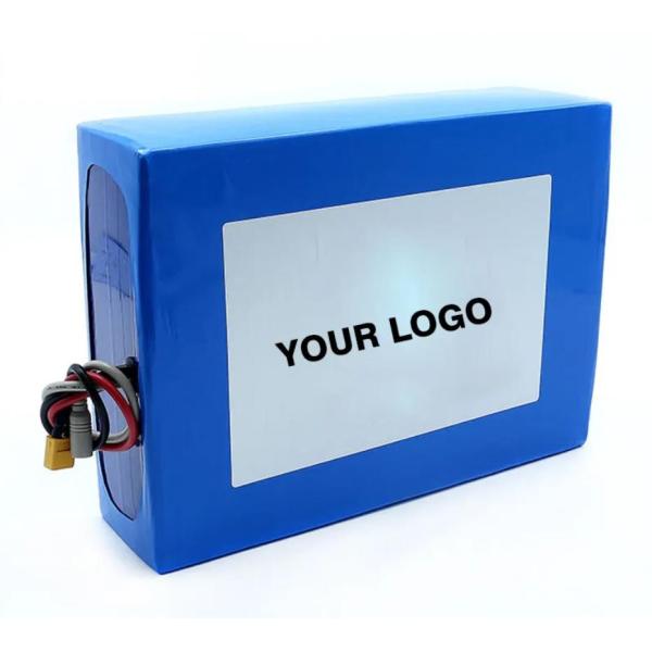 10.8V 14.8V 24V 36V 48V Lithium Battery Pack With Smart BMS 12 Volt