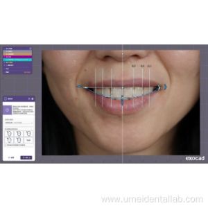 Quality Dsd Design for sale