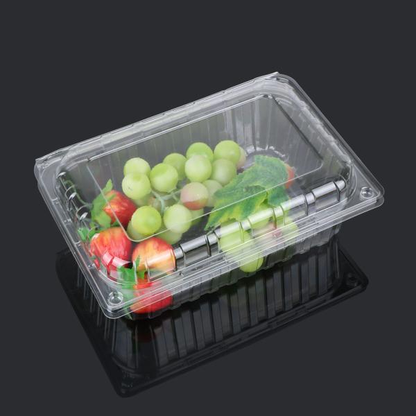 Virgin Food Grade PET 22.5cm Disposable Plastic Food Box