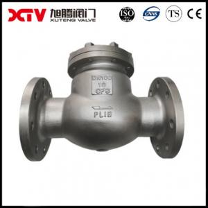 China Industrial Usage Stainless Steel Flange Connector BS970 Straight S/S Swing Check Valve on sale