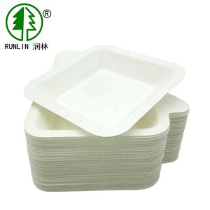 Compostable Disposable 120 Deg Square Sugarcane Sushi Sauce Plates