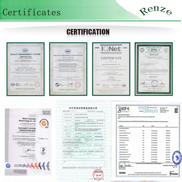 Food Grade Pure Sucralose Powder Sweetener Sugar Substitute Cas 56038-13-2