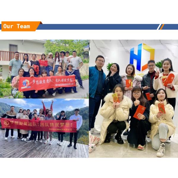 Genuine Industrial Machinery Part SP202731 Ring Gear Perfect for Wheel Loader Repair