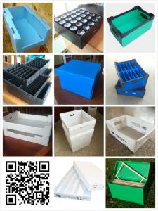 Quality Factory Custom PP corflute coroplast tray, Mail Box , Tote Box for sale