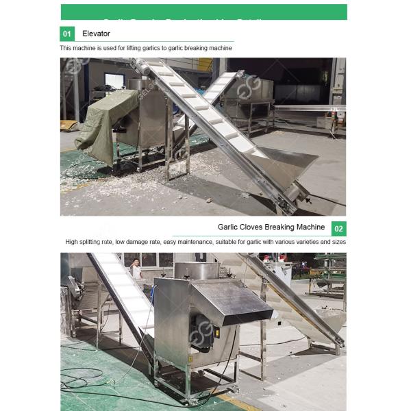 CE certified commercial Garlic Separating Peeling Packaging Production Line Garlic Peeler Machine Project