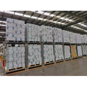 Multi Purpose Powder Free 4 Mil Vinyl Protective Gloves