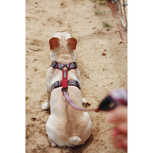 Extra Small Dog Walking Harness Reflective Soft Padded Easy Walk Harness