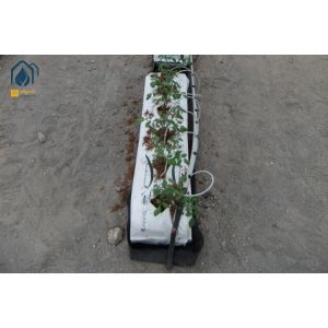 Tomato Hydroponic PP Roll Vegetables Planting Gutter In Modern Farming