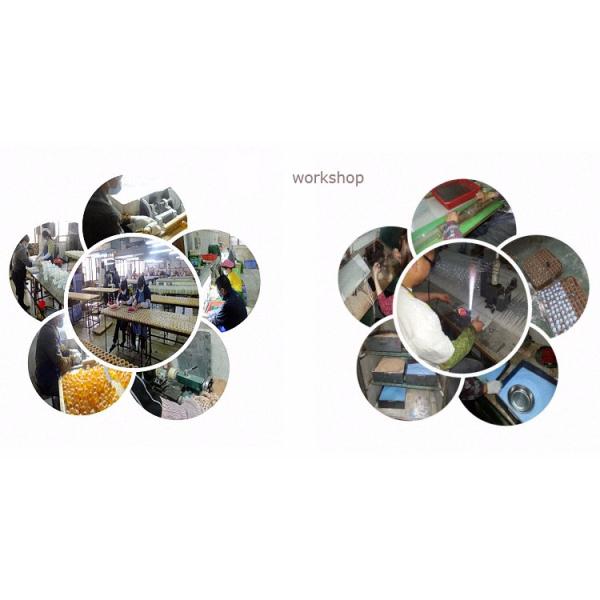 Educational kid's toy ball different color acrylic hemisphere