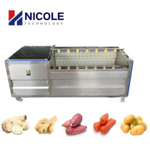 Auto 304 Commercial Potato Peeler Machine Brush Cleaning Customized