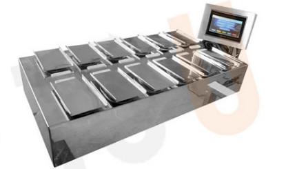 Buy MCU Control 10WPM Fruit And Vegetable Packaging Machine Combination Scale at wholesale prices