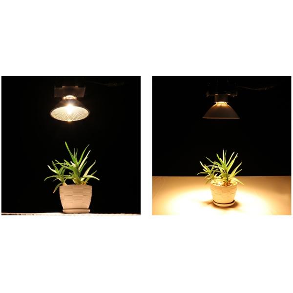 265VAC 100Hz Full Spectrum Grow Lights CMH 150W 100Hz Led Lighting