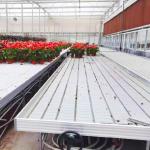 Silver Height Adjustable Fixed Greenhouse Rolling Tables with Clip on Bench Side