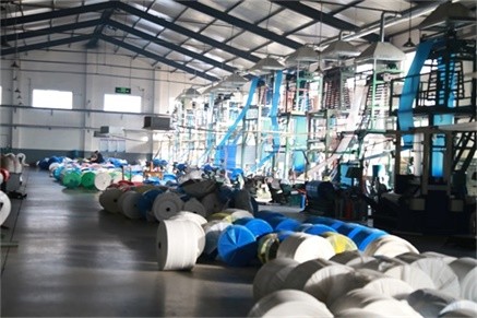 Oil Proof Transparent Disposable PE Gloves , Plastic Gloves For Food Handling