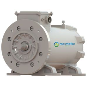 Quality Oil Cooled 3 Phase 22KW 15000RPM Magnetic Reluctance Motor for sale