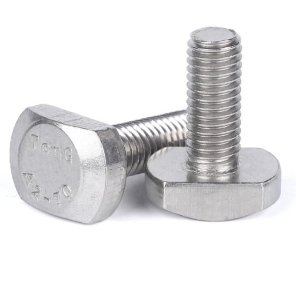 T type bolt Stainless steel hammer head bolt Stainless steel 304 t bolt