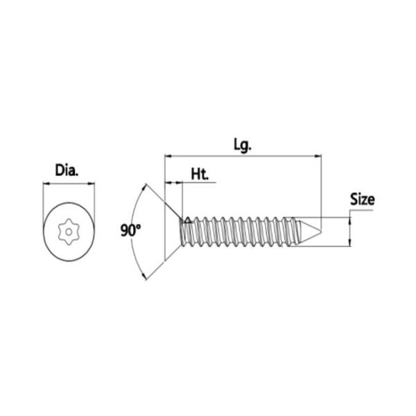 Stainless Steel Self Tapping Screws with Special Spring Washer for Enhanced Fastening
