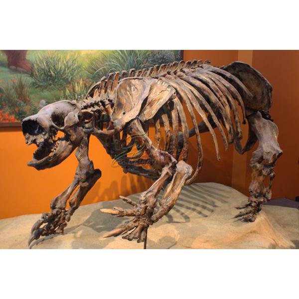 Realistic Complete Dinosaur Fossil , Simulation Full Dinosaur Skeleton