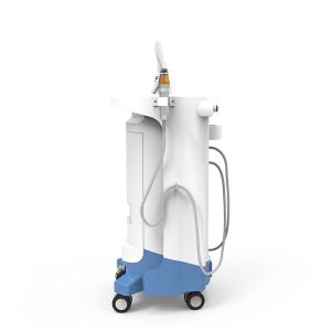 Factory Wholesale Price Fractional Rf Microneedle Machine / Face Treatment