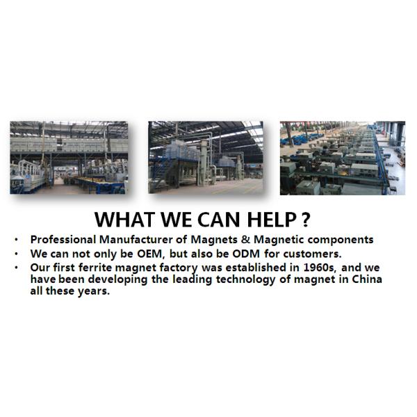 China Alternators Prices Ring Electric Motor Shaft Coupling Assembly Magnetic Coupling