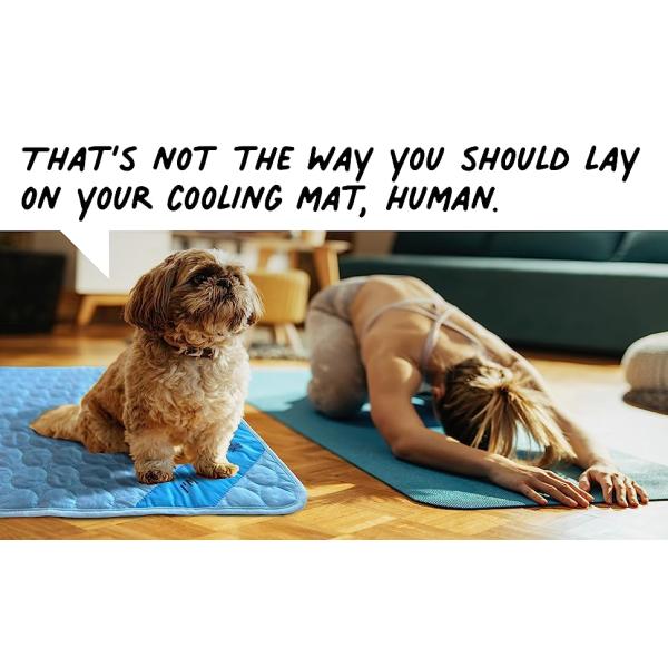 cooling mat dog cat Inspector Tail