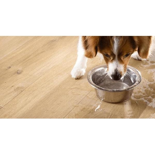 Indoor 5mm SPC Vinyl Planks with Embossed and Scratch Resistant Surface Treatment