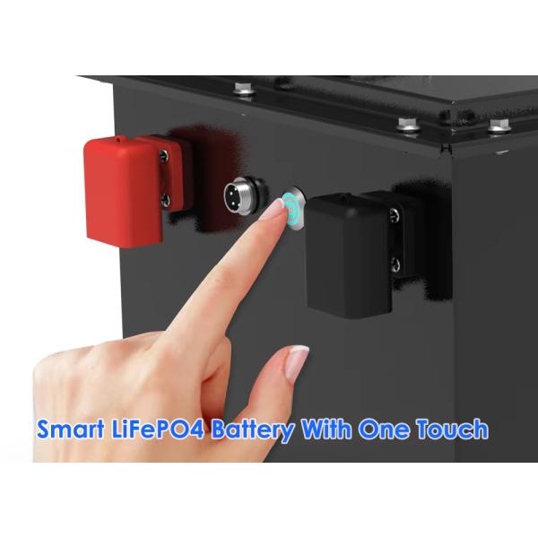 Customized Lithium Ion LiFePO4 Battery Pack 100AH Golf Cart AGV Cleaner Truck