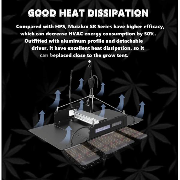 120x120x200,Indoor Plant Grow Tent, Waterproof, 4x4ft, for Medical Plants Growing, With High Efficiency 480W LED Panel