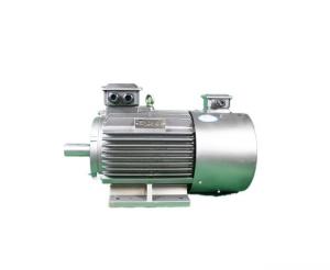 Quality 92.4% High Efficiency 3 Phase Induction Motor YVFE3 160L-2 18.5kW for sale