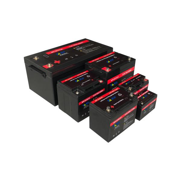 BMS Lifepo4 Lithium Battery Pack 12v 24V 48v 100ah 150ah 200ah 300ah