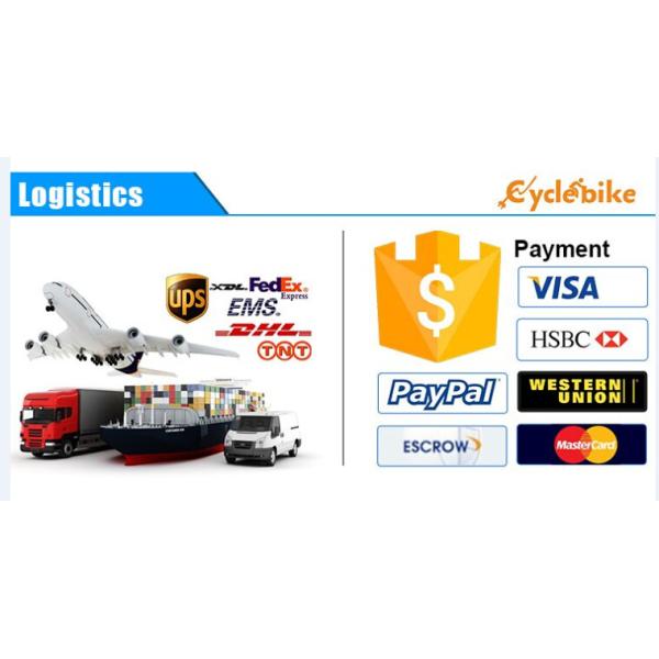 Ultra Light 36 Volt Lithium Ion Battery For Electric Bike / Electric Car