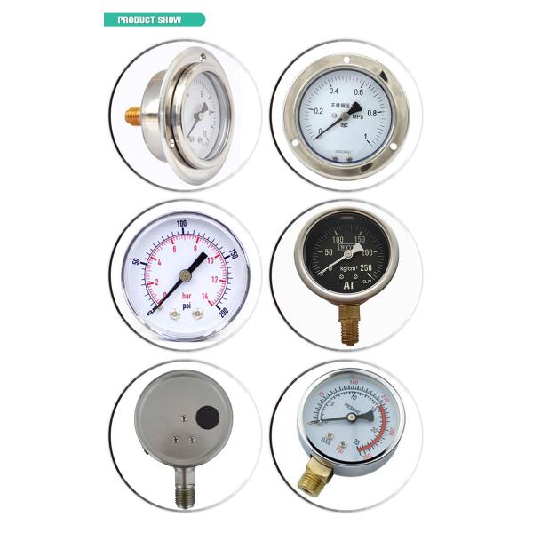 1/4"Bsp 304 Stainless Steel Pressure Gauge Bottom Connection 60mm